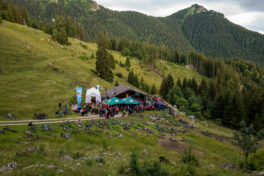 SamerbergerGams-1350879