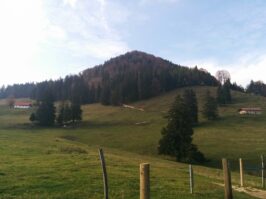 Gipeltouren und Almwanderungen im Achental