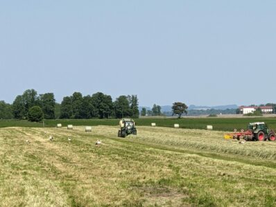 Es gibt wieder mehr Störche