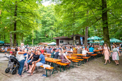 Waldfest-Nussdorf-1320588