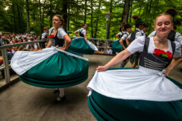 Waldfest-Nussdorf-1320641