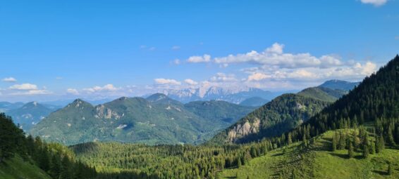 a063d2e1-8c35-4d91-a888-7b2ed461c82c