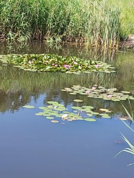 a3ca3f4d-1932-4ef4-9086-70747555a7cf