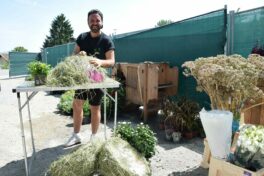 bachschneider_hinter den kulissen