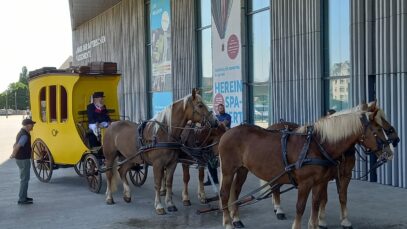 bb5b03dc-1b91-47ee-b969-177b59b4f03f