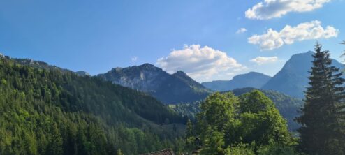 cf3b7efc-4cfa-4319-88dd-5ccae962a4ce