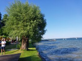 d9d54086-476d-41a6-bc62-374f83e5ed39