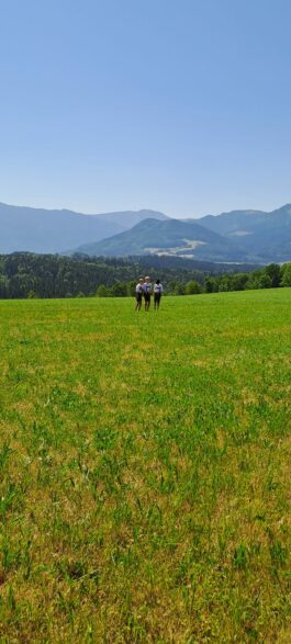 e7f3b13d-9433-4ad9-acc0-b611169742d9