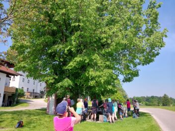 ec034892-4d86-47be-a086-aa6a1bba8d67