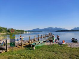 ed5d16a5-865c-4c86-8ea6-fd4310155685