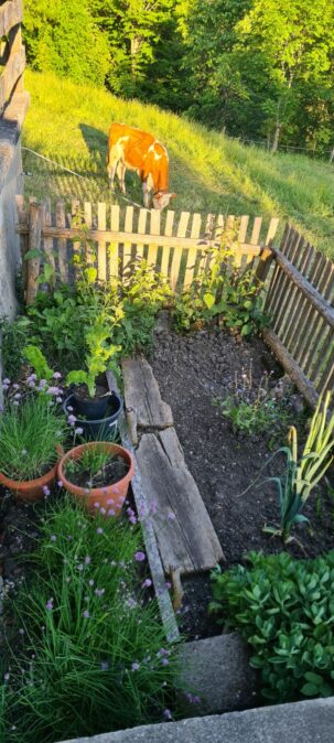 f1669235-c15a-499b-90a1-f28dddd674b7