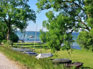 fe8a027a-ccac-4929-a7c7-a7e5eec51f47