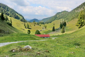 fras pfadfinder alm01