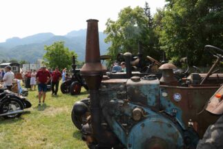 kl-aschau bulldogtreffen03