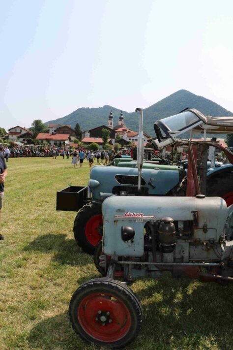kl-aschau bulldogtreffen03a