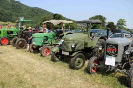 kl-aschau bulldogtreffen07