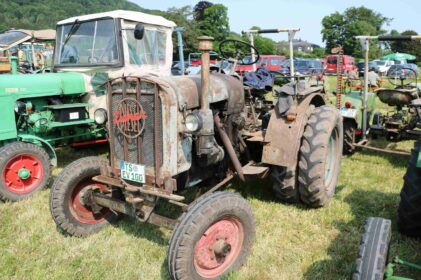 kl-aschau bulldogtreffen09