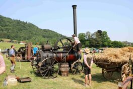 kl-aschau bulldogtreffen11
