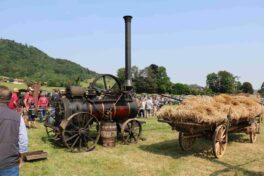 kl-aschau bulldogtreffen11a
