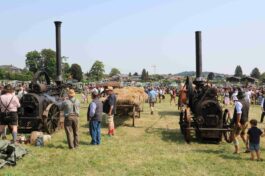 kl-aschau bulldogtreffen11b