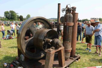 kl-aschau bulldogtreffen15