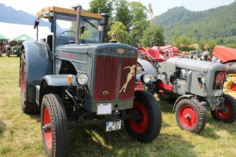 kl-aschau bulldogtreffen16