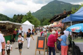 kl-sach bauernmarkt05