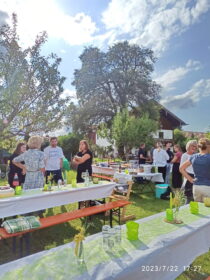 368d6e0d-0ef5-4451-9d41-13fdbf25d87e