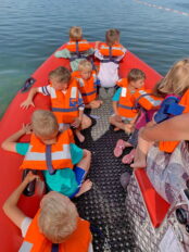 56b68732-0d55-4ee3-957a-7bd14655a517