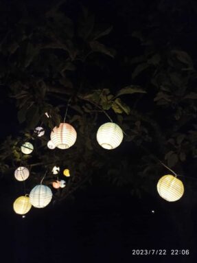 70cc7dc1-c621-4524-ac3e-de5129ff5ed2