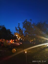 79119a16-2368-4492-8346-0d2981ee8721