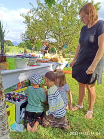 9131ab82-f628-4aea-bdf5-affb278528b6