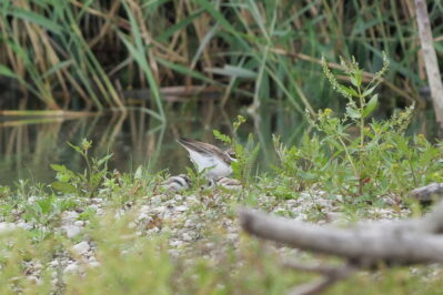 AktNatBeo-230725-ja-6_Alle_bereit_zum_Aufwaermen