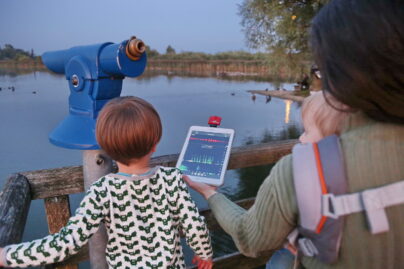 FledermäuseBrigitte Meiswinkel