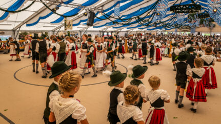 Gaufest-Pfaffenhofen-1440295