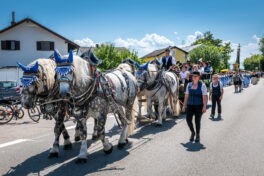 Gaufest-Pfaffenhofen-1440675