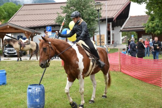 Pferdefreunde Schleching (1)