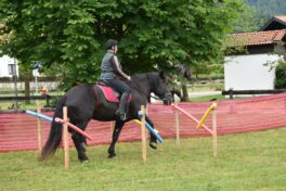 Pferdefreunde Schleching (2)