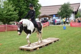 Pferdefreunde Schleching (3)