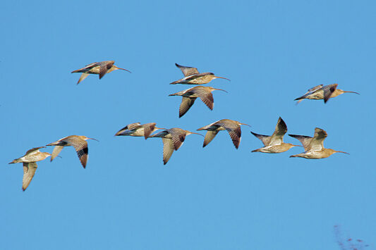 SB-20131123093350-ec44336f-1140pix