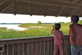 SB-Turm_SB-JZ-150821-DSCN0812-1140pix