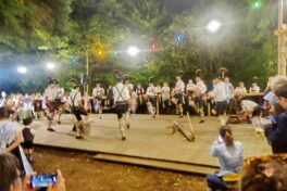 kl-1AktiveHolzhacker