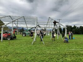 183B1B82-3C9E-48A1-894D-F5C555B09148