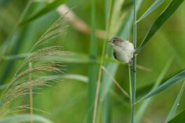 AktNatBeo-230808-ak-20-ea8e_3k