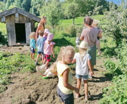 Eiersuche im Hühnergarten