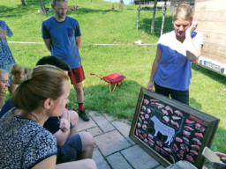 Fleischteile beim Rind für die Eltern erklärt