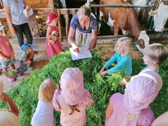 Grasverdauung bei der Kuh - einfach erklärt