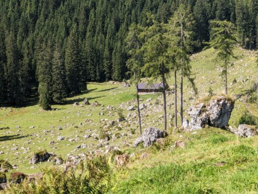 Almwanderung unterm Watzmann