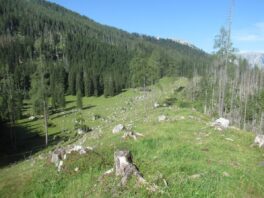 Almwanderung unterm Watzmann