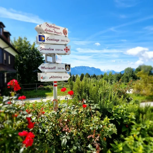 IMG_20230817_095356_228